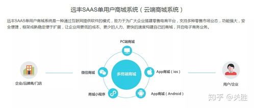 saas商城系统与独立部署商城系统有什么区别